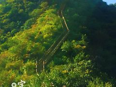 -大岭沟猕猴桃谷风景区