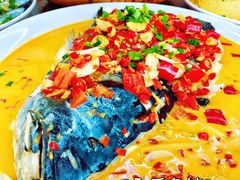 千岛湖有机鱼头-全乐鱼馆·淳牌有机鱼直营店