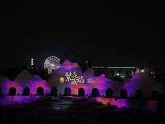 -花博汇(知音花月夜)