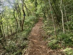 -九曜山