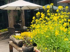 -瓦库茶馆17号(海汇港店)
