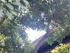 -海悦山庄酒店-花园泳池