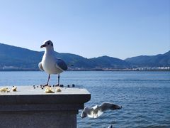 -滇池海埂公园