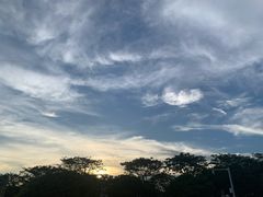 -红花山公园