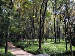 -洛阳市隋唐城遗址植物园