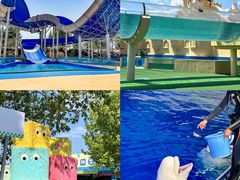 -秦皇岛乐岛海洋王国