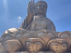 -龙口南山旅游景区