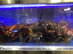 -盒马鲜生(莱蒙都会店)