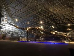 -世界恐龙谷景区