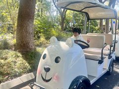 -昆山城市生态森林公园