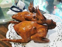 -石岐乳鸽村(南海第三分店)