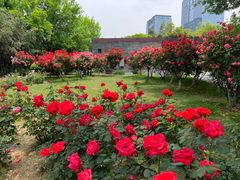 -武汉园博园(武汉自然博物馆)