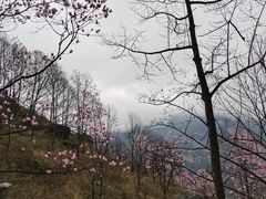 -九皇山景区