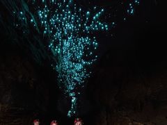 -怀托摩萤火虫洞