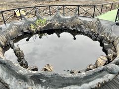 -黑油山景区