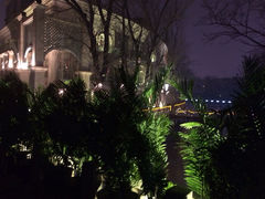 iphone_upload_pic-茉莉