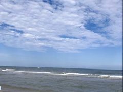 -渡海小渔村.老辈日照菜