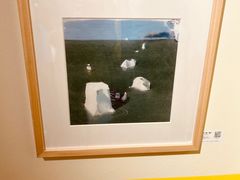 -【朵云轩艺术中心】博洛尼亚插画展·中国巡展·上海站