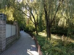 -北极寺公园