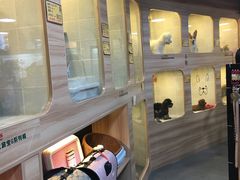 -1013 PET SHOP 宠物商店(近铁城市广场店)
