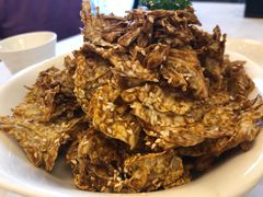 -金蝉食府(维吉奥广场店)
