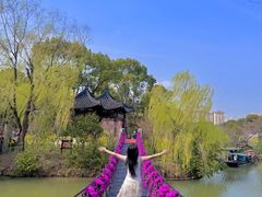 -南汇桃花村