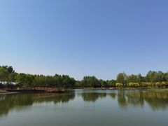 -东郊湿地公园
