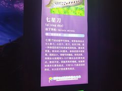 -蓬莱欧乐堡海洋极地世界
