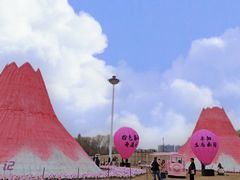 -祥源·阜阳生态乐园