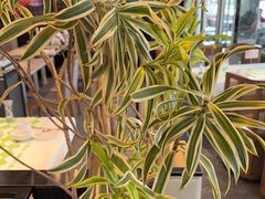 -渔语鱼酸菜鱼新川菜(来福士店)