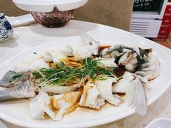-友渔港·顺徳鱼生·横县鱼生