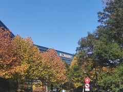 -阿里中心·杭州Z空间