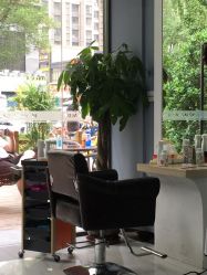 点击看大图 -DL HAIR SALON