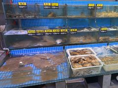 -宾朋海鲜特色美食餐厅·纯手工鲅鱼水饺(兴海路店)