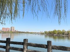 -济南大明湖景区