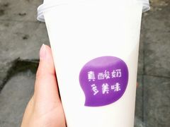 -一只酸奶牛(八一路店)