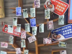 -思琪宠物医院(昆山花桥店)