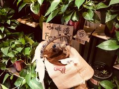 -ZING COFFEE 镜咖啡