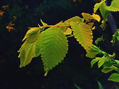 -迎泽公园