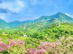 -东莞观音山旅游风景区
