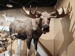 -陕西自然博物馆