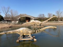 -上海海湾国家森林公园