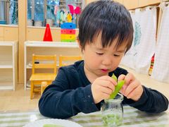 -金点蒙氏国际教育(悠然校区)