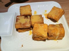 -南枝记