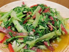 -金孔雀德宏傣味餐馆(魏公村店)