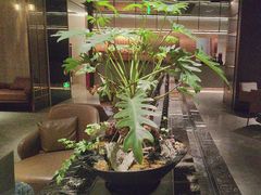 -汤泉良子·沐足·颂钵疗愈·SPA(珠江新城店)