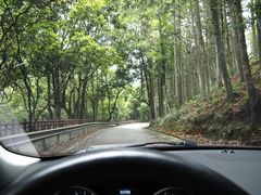-广州市石门国家森林公园