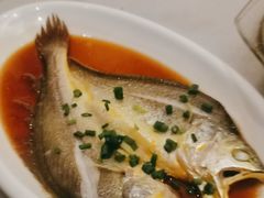 野生小黄鱼-华盛丰温州大排档(东三环南路店)