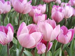 -渣打银行（中国）(北京分行)