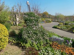 -东平国家森林公园